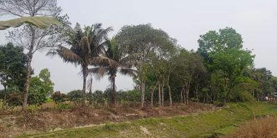 ঈদের সারাদিন যেমন থাকবে আবহাওয়া