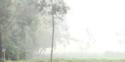 চৈত্রের শেষে ঘন কুয়াশায় ঢেকে গেল পঞ্চগড়