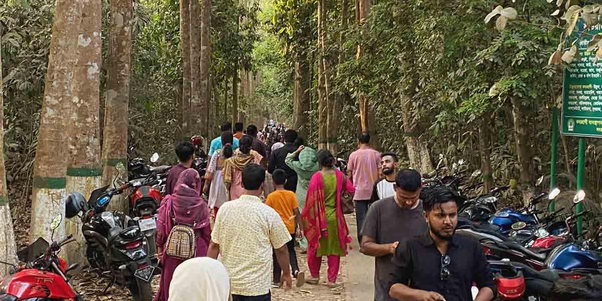 চায়ের রাজ্যে প্রশান্তি খুঁজছেন প্রকৃতিপ্রেমীরা