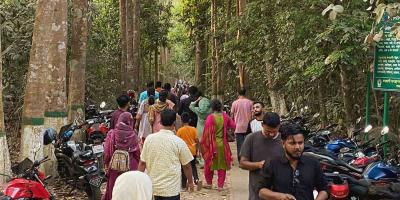 চায়ের রাজ্যে প্রশান্তি খুঁজছেন প্রকৃতিপ্রেমীরা