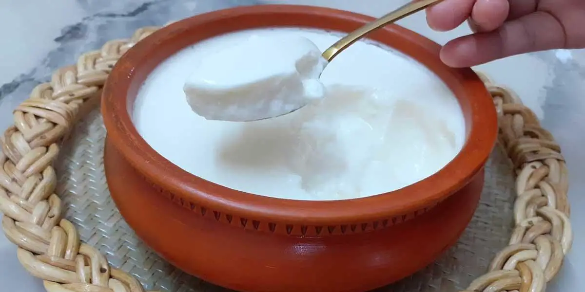 টক দইয়ের উপকারিতা