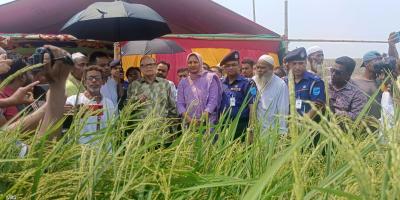 সরকারের কাছে যথেষ্ট খাদ্যশস্য মজুত রয়েছে: আলী ইমাম মজুমদার