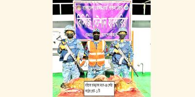 মোংলায় ২৪ কেজি হরিণের মাংস ও চামড়া জব্দ