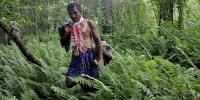 একাই গড়েছেন ১৩৬০ একর বনাঞ্চল