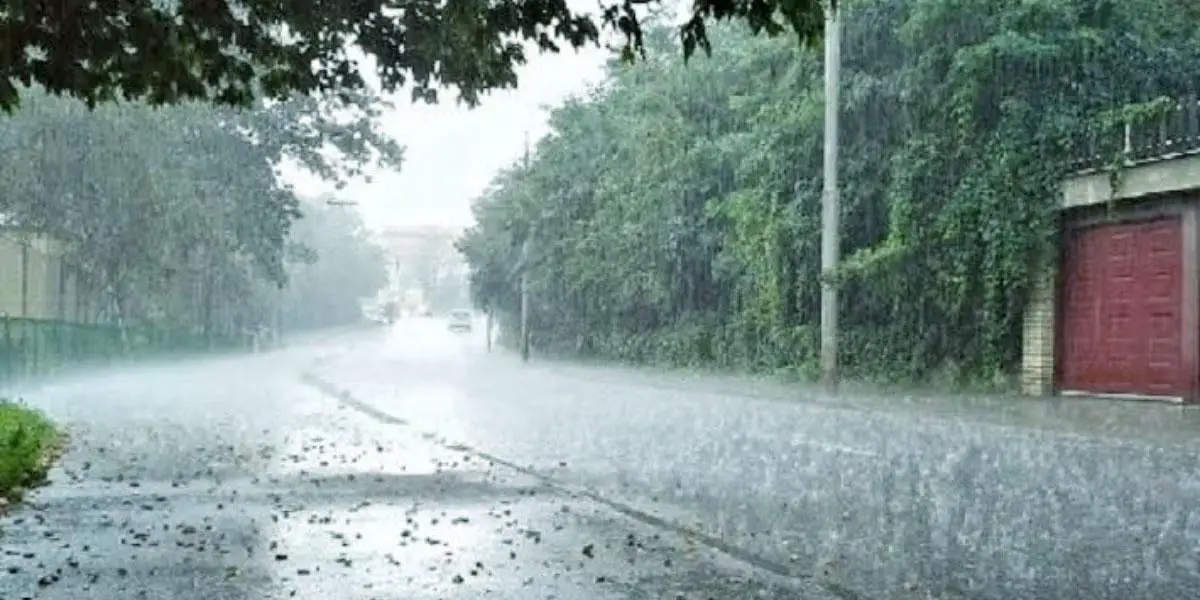 আবহাওয়ার পূর্বাভাস: যেসব অঞ্চলে বৃষ্টি হবে বৃহস্পতিবার