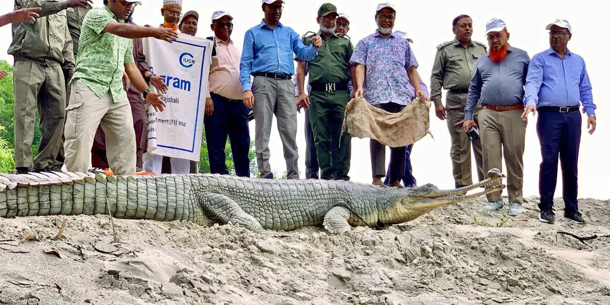 রাজশাহীতে ঘড়িয়াল প্রজননকেন্দ্র চালু