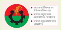 নয়া ফরম্যাটে হবে বিএনপির পেশাজীবী সংগঠনের কমিটি