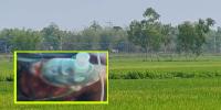 বাংলাদেশি যুবককে ধরে নিয়ে চোখে গুলি করল বিএসএফ