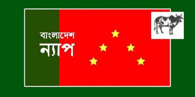 শিল্পে গ্যাসের মূল্য বৃদ্ধির সিদ্ধান্ত গণবিরোধী: ন্যাপ
