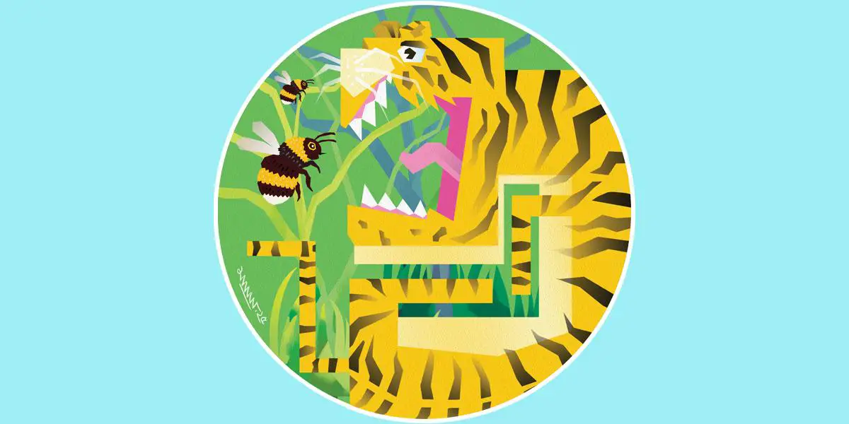 বাঘ ও ভিমরুলের ভয়ংকর যুদ্ধ