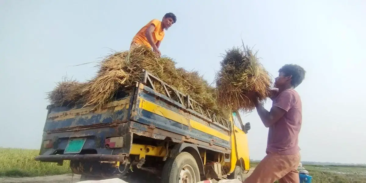 ‘সোনালি স্বপ্ন ভেঙে গেছে’