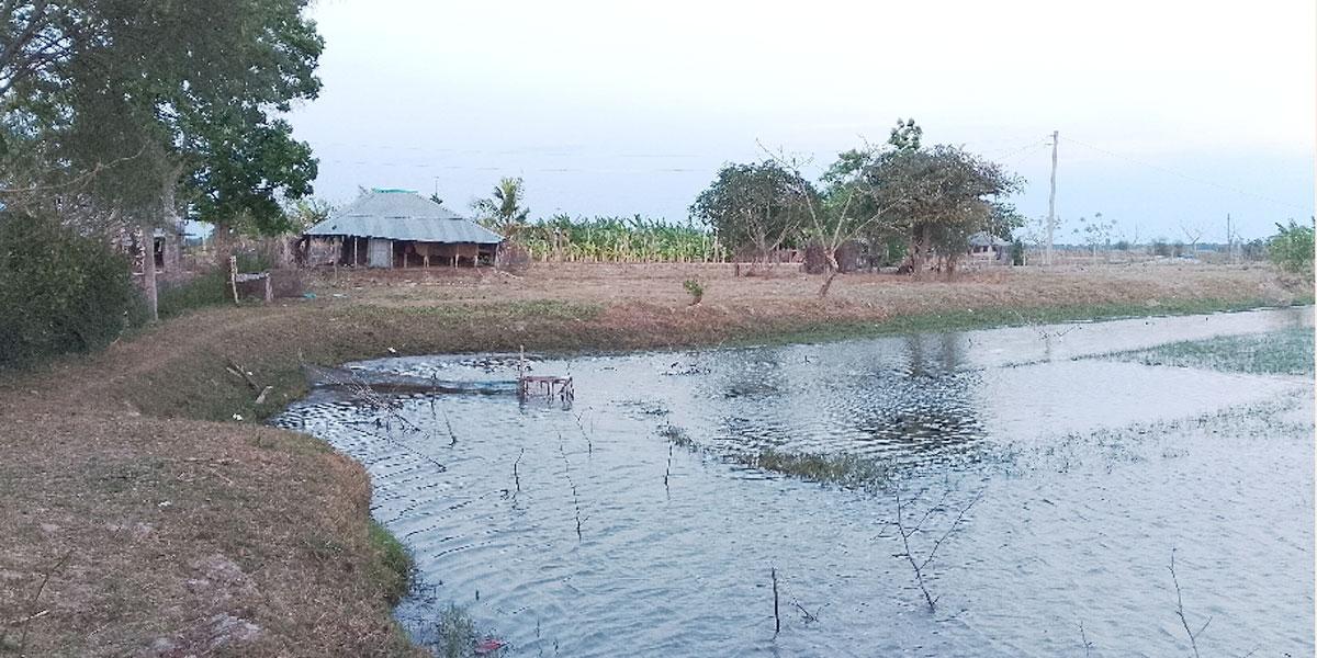ঢাবির সাবেক অধ্যাপকের ঘের দখলে নিলেন কথিত নেতা