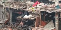 অপরাধের আখড়া মোহাম্মদপুরের ১০ বস্তি
