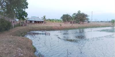 ঢাবির সাবেক অধ্যাপকের ঘের দখলে নিলেন কথিত নেতা