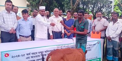 গোপালগঞ্জে ৭৫ জেলেকে বাছুর বিতরণ