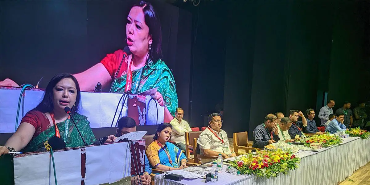 ন্যূনতম সুষ্ঠু ভোট হলে বিএনপি দুই-তৃতীয়াংশ আসনে বিজয়ী হবে: রুমিন