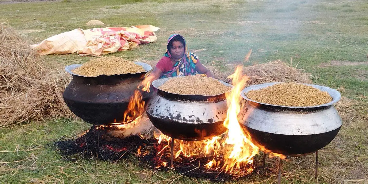 হাওরপারে চলছে ধান তোলার প্রস্তুতি