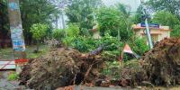 দেশের দুই বিভাগে হতে পারে ঝড়বৃষ্টি