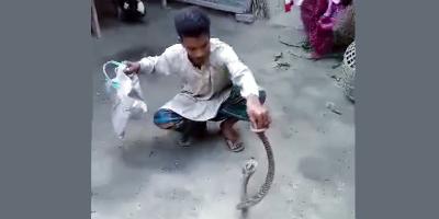 পোষা সাপের কামড়ে প্রাণ গেল সাপুড়ের