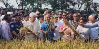 আড়িয়াল বিলের বৈচিত্র্য রক্ষার চেষ্টা চলছে: স্বরাষ্ট্র ও কৃষি উপদেষ্টা