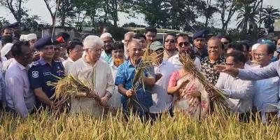 আড়িয়াল বিলের বৈচিত্র্য রক্ষার চেষ্টা চলছে: স্বরাষ্ট্র ও কৃষি উপদেষ্টা