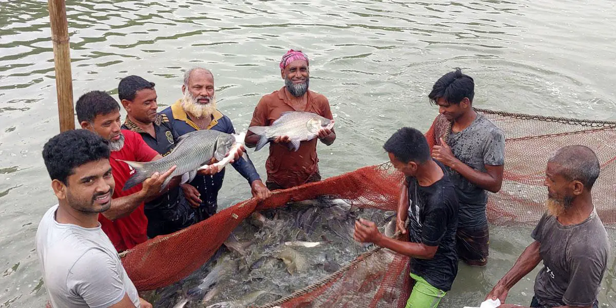 ফলি মাছ চাষে টিটুর সাফল্য