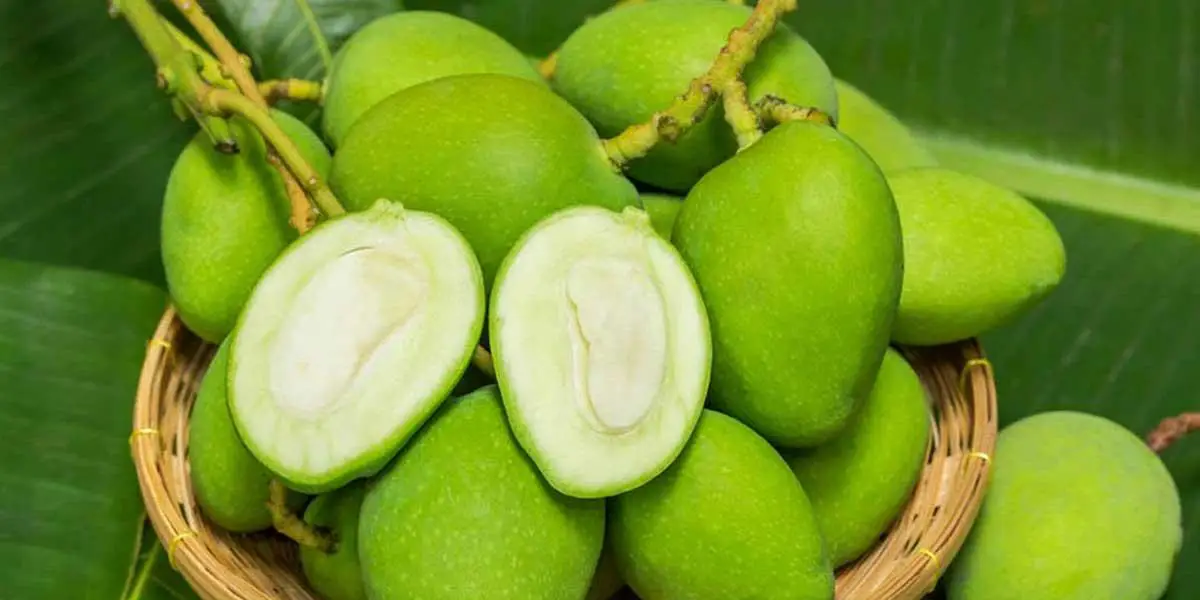 গরমে কাঁচা আমের উপকারিতা