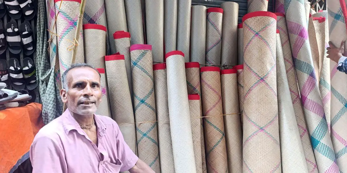 বিলুপ্তির পথে শীতল পাটি
