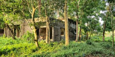 জিয়া মেমোরিয়াল অরফানেজ ট্রাস্ট যেন ভূতের বাড়ি