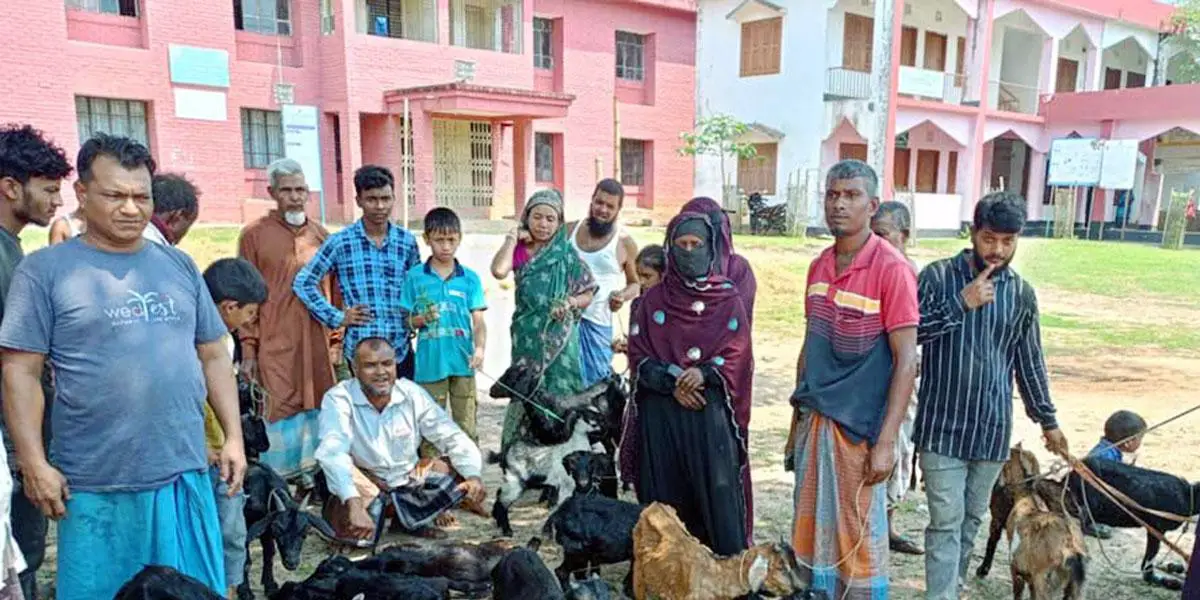 খাগড়াছড়িতে  সরকারি ভ্যাকসিনে ২০ গরু-ছাগলের মৃত্যুর অভিযোগ
