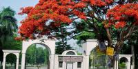 ইবিতে ল্যাব ব্যবহারে ফি নির্ধারণ, দাবির মুখে স্থগিত