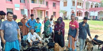 খাগড়াছড়িতে  সরকারি ভ্যাকসিনে ২০ গরু-ছাগলের মৃত্যুর অভিযোগ