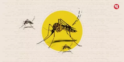 ডেঙ্গুতে এক নারীর মৃত্যু