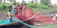 মধ্যরাতে মেঘনায় ইলিশ ধরতে নামবে জেলেরা