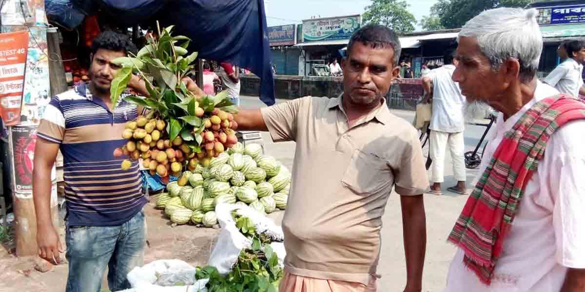 লিচুর রাজধানী ঈশ্বরদীতে বিক্রি হচ্ছে যশোরের লিচু