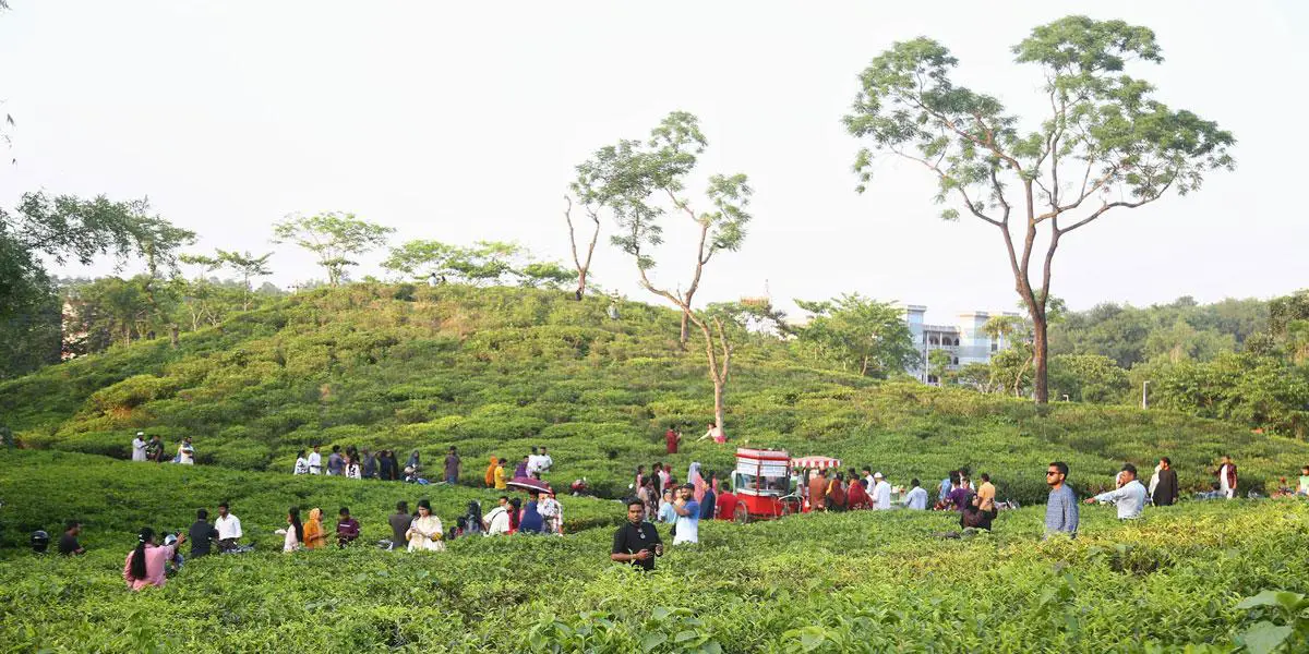 টানা ছুটিতে পর্যটকমুখর সিলেট