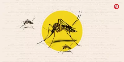 এবার ডেঙ্গু পরিস্থিতি ভয়াবহ হওয়ার আশঙ্কা