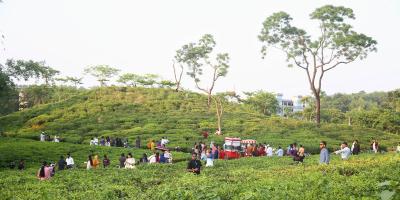 টানা ছুটিতে পর্যটকমুখর সিলেট
