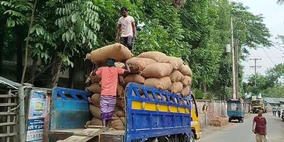 বোরো ধান নিয়ে সিন্ডিকেট: ন্যায্যমূল্য পাচ্ছেন না কৃষক