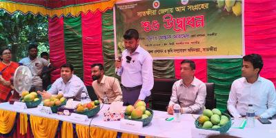 সাতক্ষীরার আম বাজারে