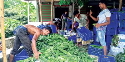 ঘুঘুডাঙ্গার সবজি যাচ্ছে বিভিন্ন জেলায়