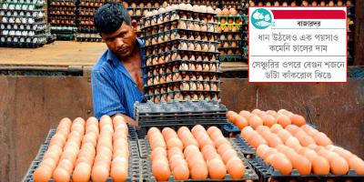 ডিমের ডজন ১৪০ টাকা!
