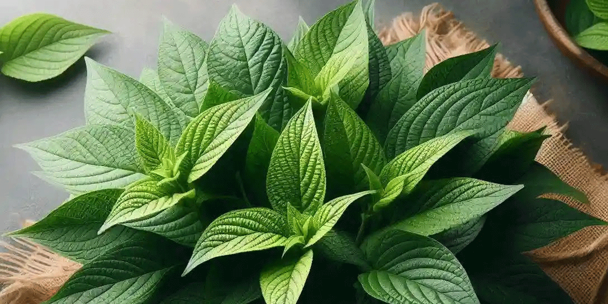 পাট শাকের গুণাগুণ