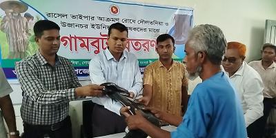 রাজবাড়ীতে রাসেল ভাইপার আতঙ্ক: কৃষকদের গামবুট বিতরণ