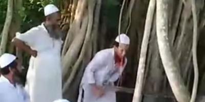 মাদারীপুরে ভ্রান্ত ধারণায় কাটা হলো ২০০ বছরের বটগাছ