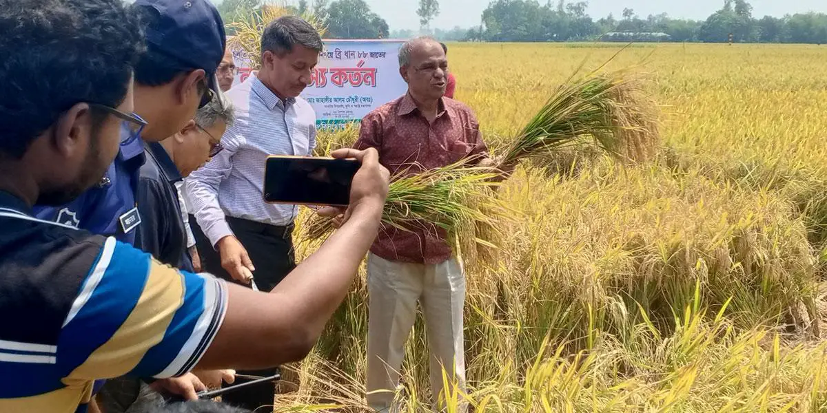 কৃষকদের কঠোর পরিশ্রমে উৎপাদন বেড়েছে: স্বরাষ্ট্র উপদেষ্টা