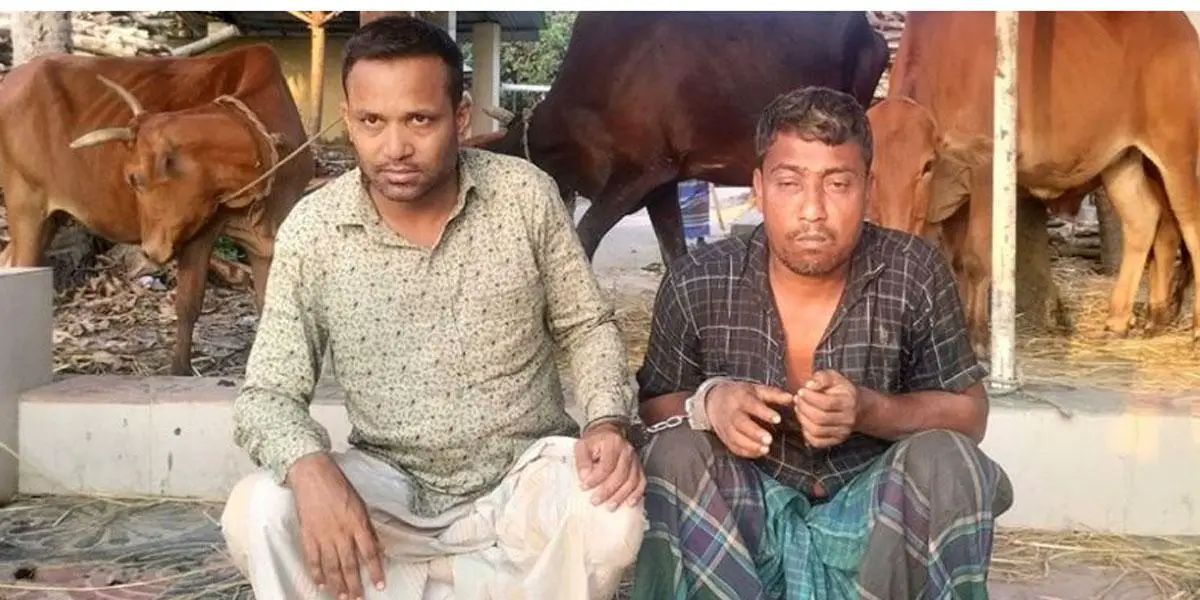 পুলিশের সঙ্গে বন্দুকযুদ্ধ, চোরাই গরু ও অস্ত্রসহ গ্রেপ্তার ২