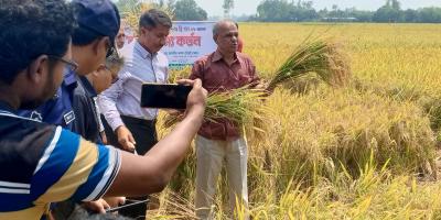 কৃষকদের কঠোর পরিশ্রমে উৎপাদন বেড়েছে: স্বরাষ্ট্র উপদেষ্টা