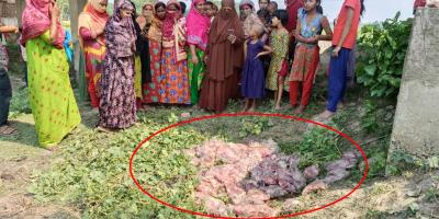 বদলগাছীতে ব্রিজের পাশে পাওয়া গেল বিপুল পরিমাণ মাংস