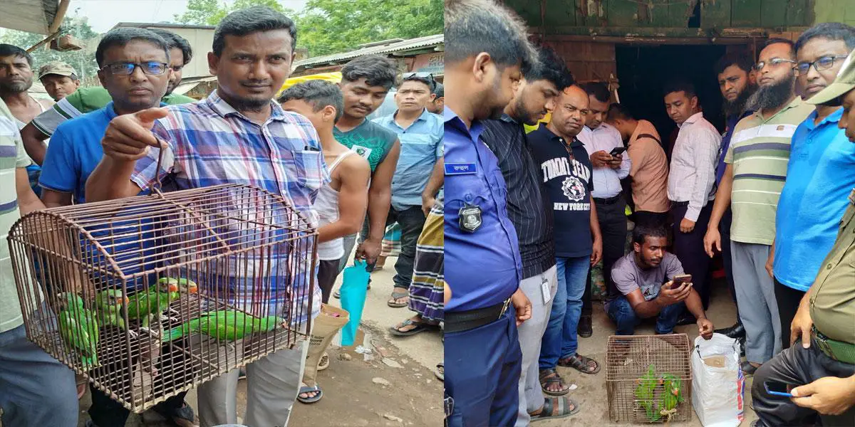 ক্রেতা সেজে টিয়াপাখি জব্দ, বিক্রেতাকে জরিমানা